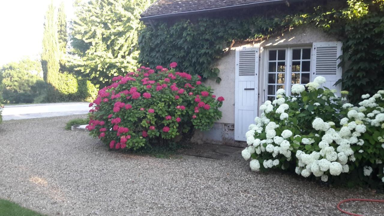 Domaine De L'Oiseau Bed & Breakfast Gergy Exterior foto